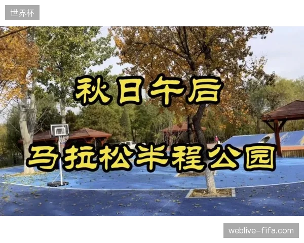 北京冬奥公园马拉松直播信号延时优化至500毫秒以内 北京冬奥公园马拉松直播信号延时优化至500毫秒以内